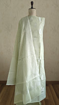 Pista Green Banarasi Linen Suit