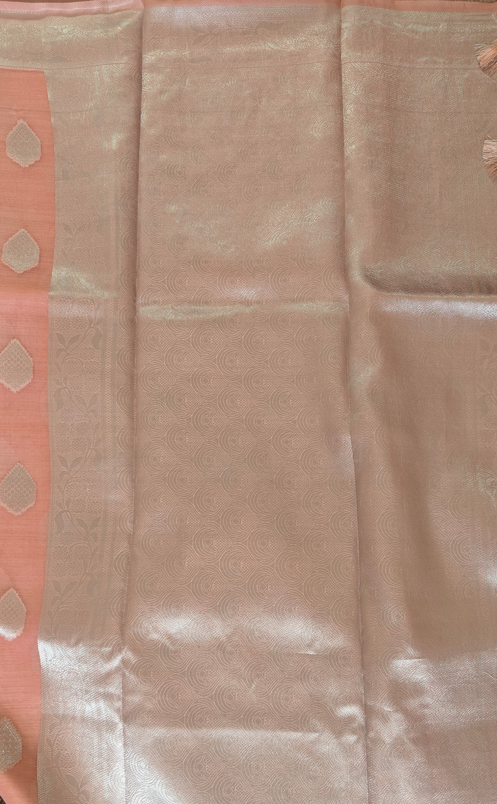 Coral Pink Organza Saree with Silver Zari Booti & Brocade Blouse