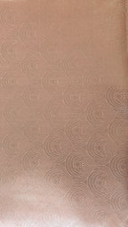 Coral Pink Organza Saree with Silver Zari Booti & Brocade Blouse