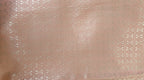 Coral Pink Organza Saree with Silver Zari Booti & Brocade Blouse
