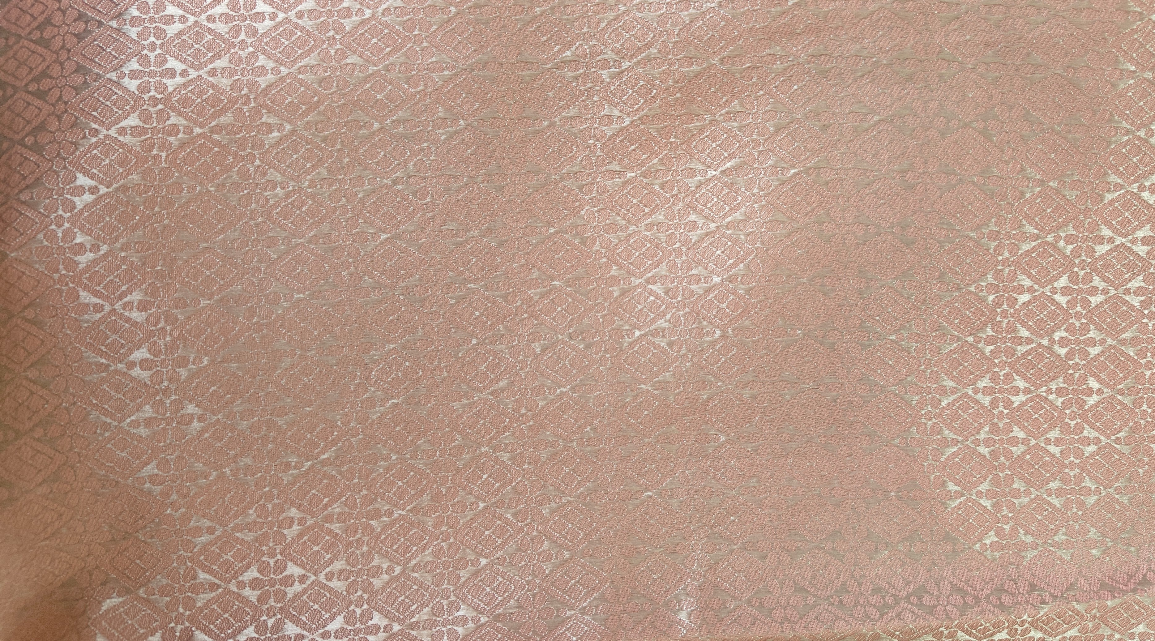 Coral Pink Organza Saree with Silver Zari Booti & Brocade Blouse