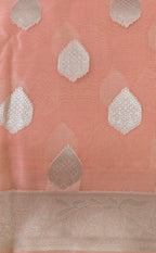 Coral Pink Organza Saree with Silver Zari Booti & Brocade Blouse