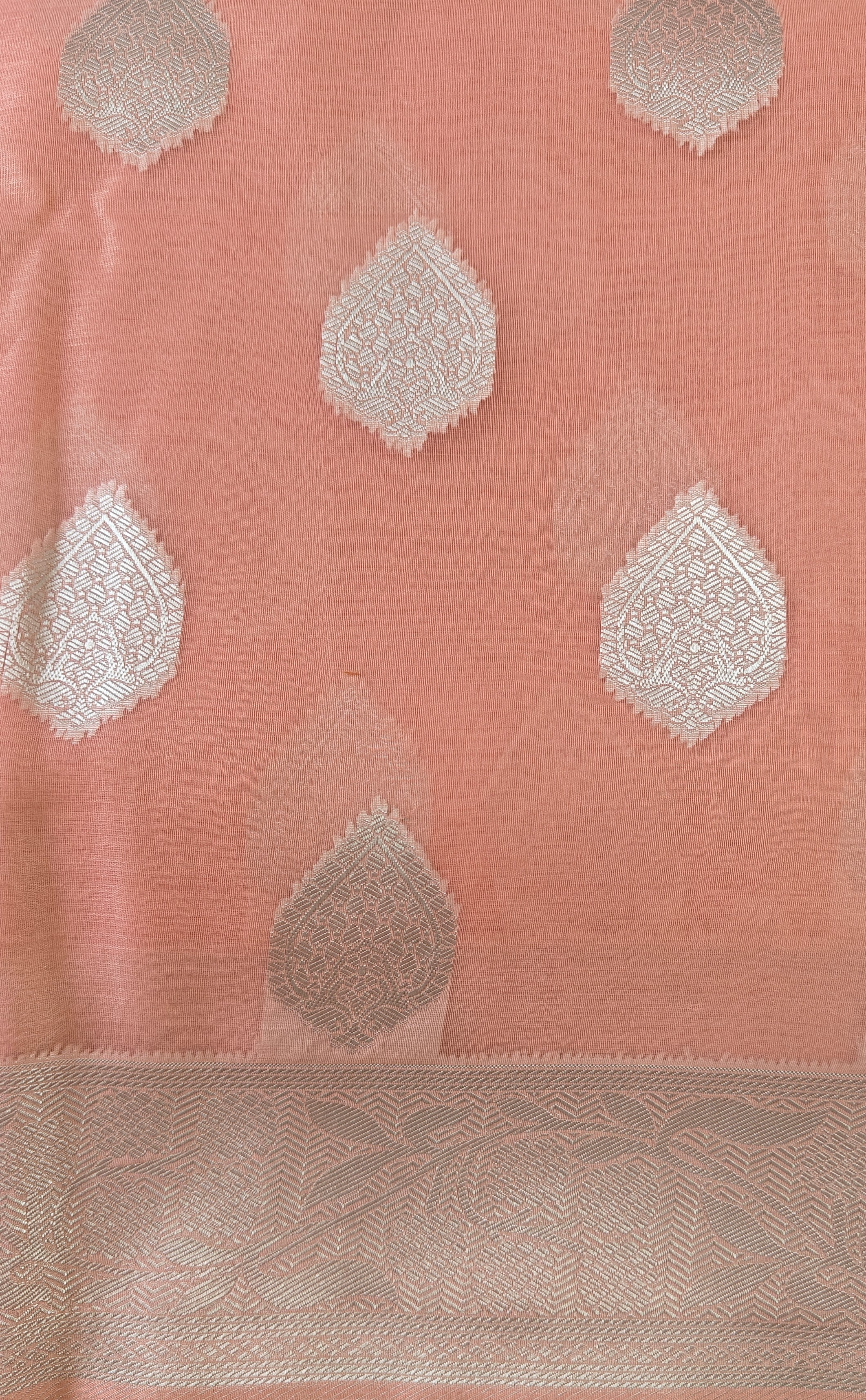 Coral Pink Organza Saree with Silver Zari Booti & Brocade Blouse