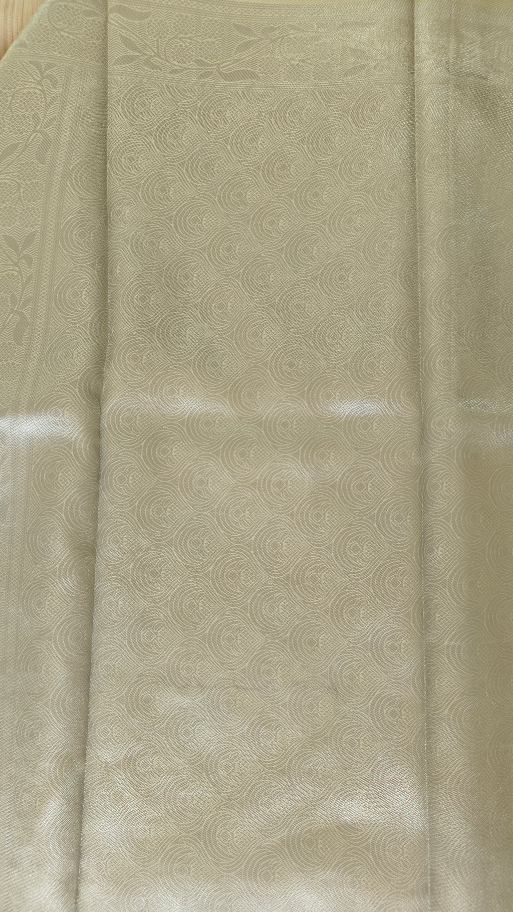 Light Yellow Cream Organza Saree with Silver Zari Booti & Brocade Blouse