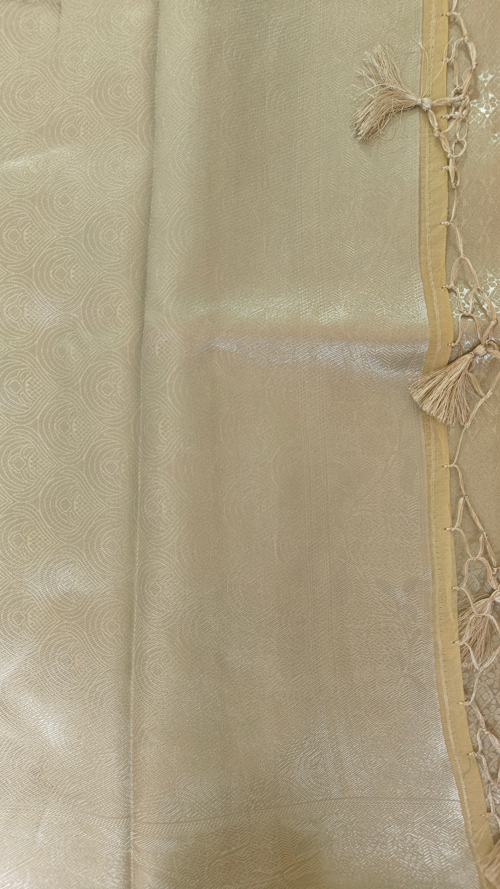 Light Yellow Cream Organza Saree with Silver Zari Booti & Brocade Blouse