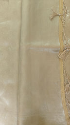 Light Yellow Cream Organza Saree with Silver Zari Booti & Brocade Blouse