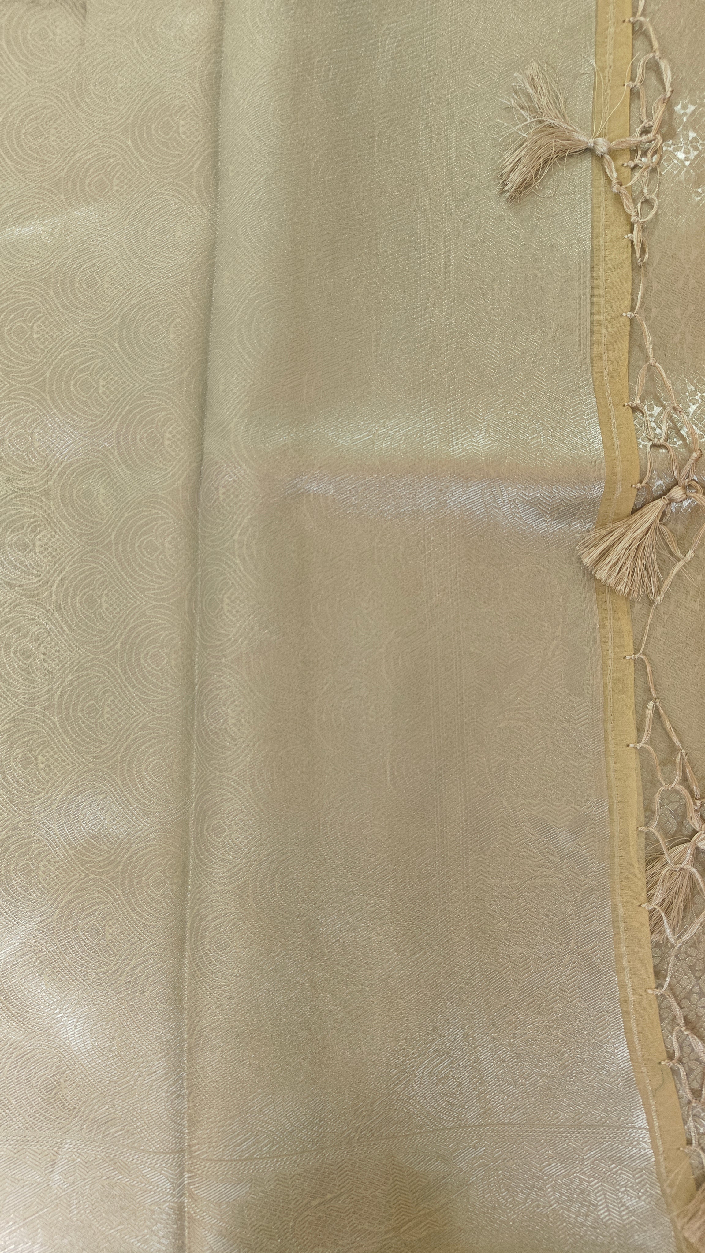Light Yellow Cream Organza Saree with Silver Zari Booti & Brocade Blouse