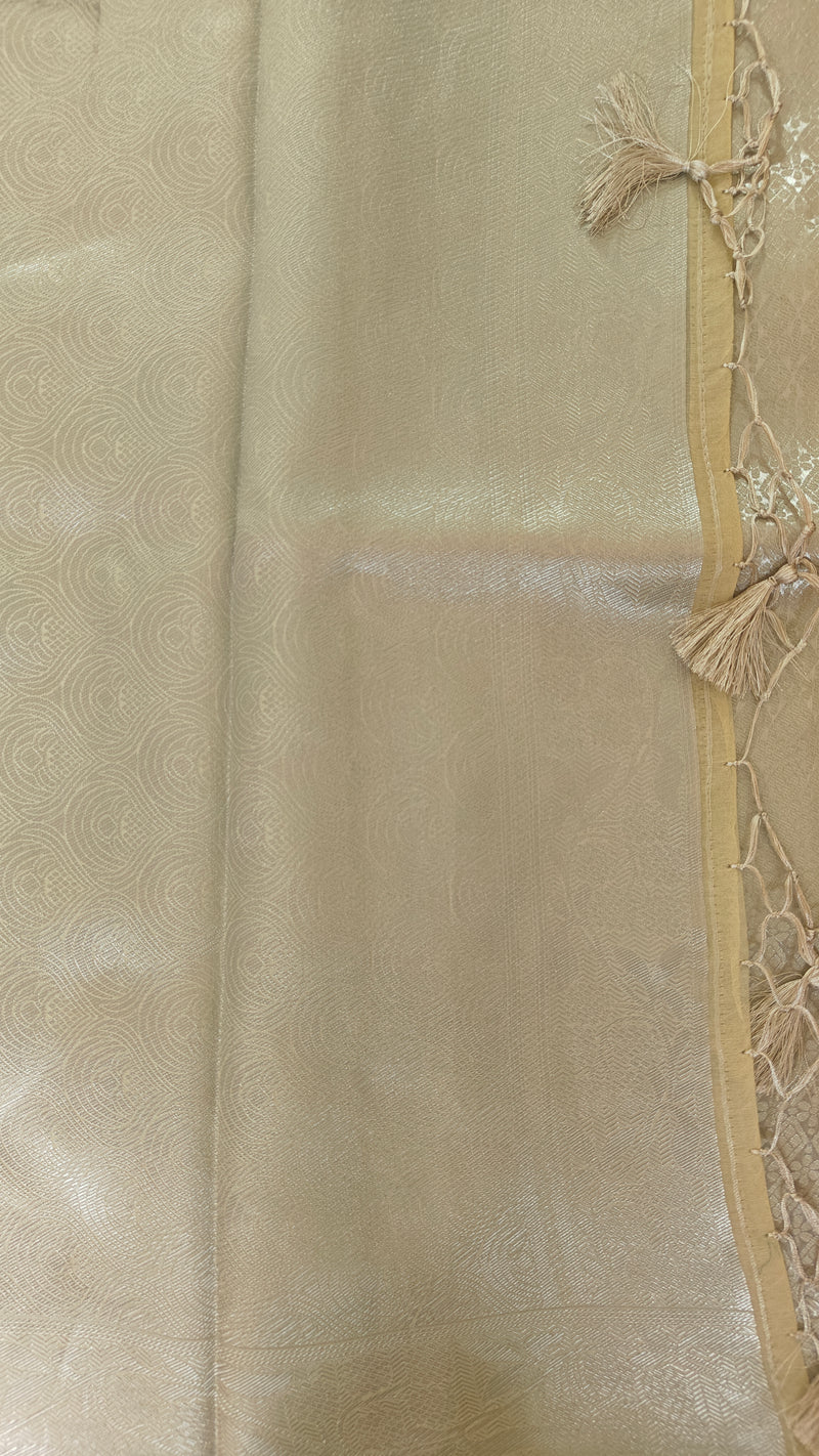 Light Yellow Cream Organza Saree with Silver Zari Booti & Brocade Blouse