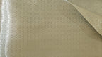 Light Yellow Cream Organza Saree with Silver Zari Booti & Brocade Blouse