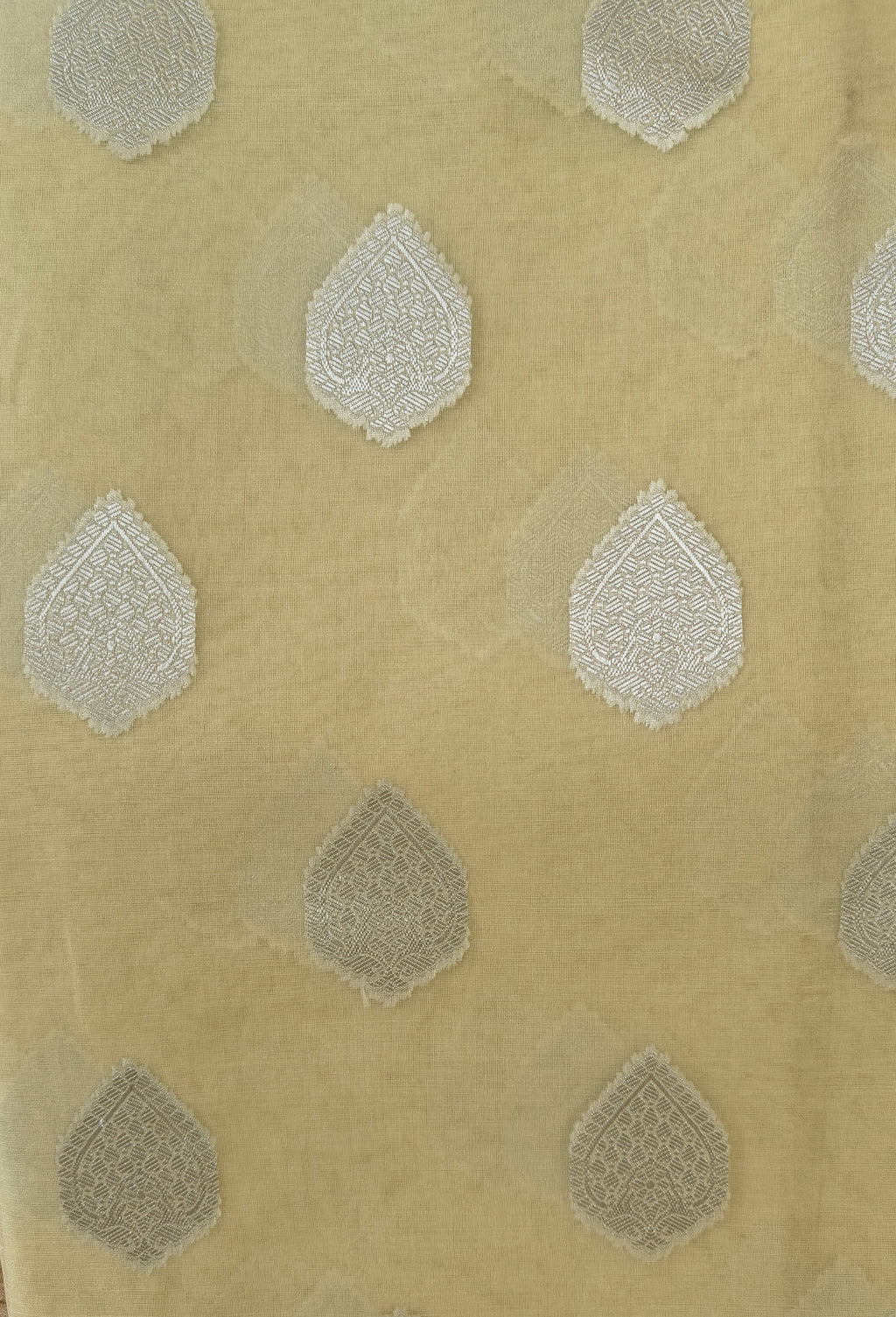 Light Yellow Cream Organza Saree with Silver Zari Booti & Brocade Blouse