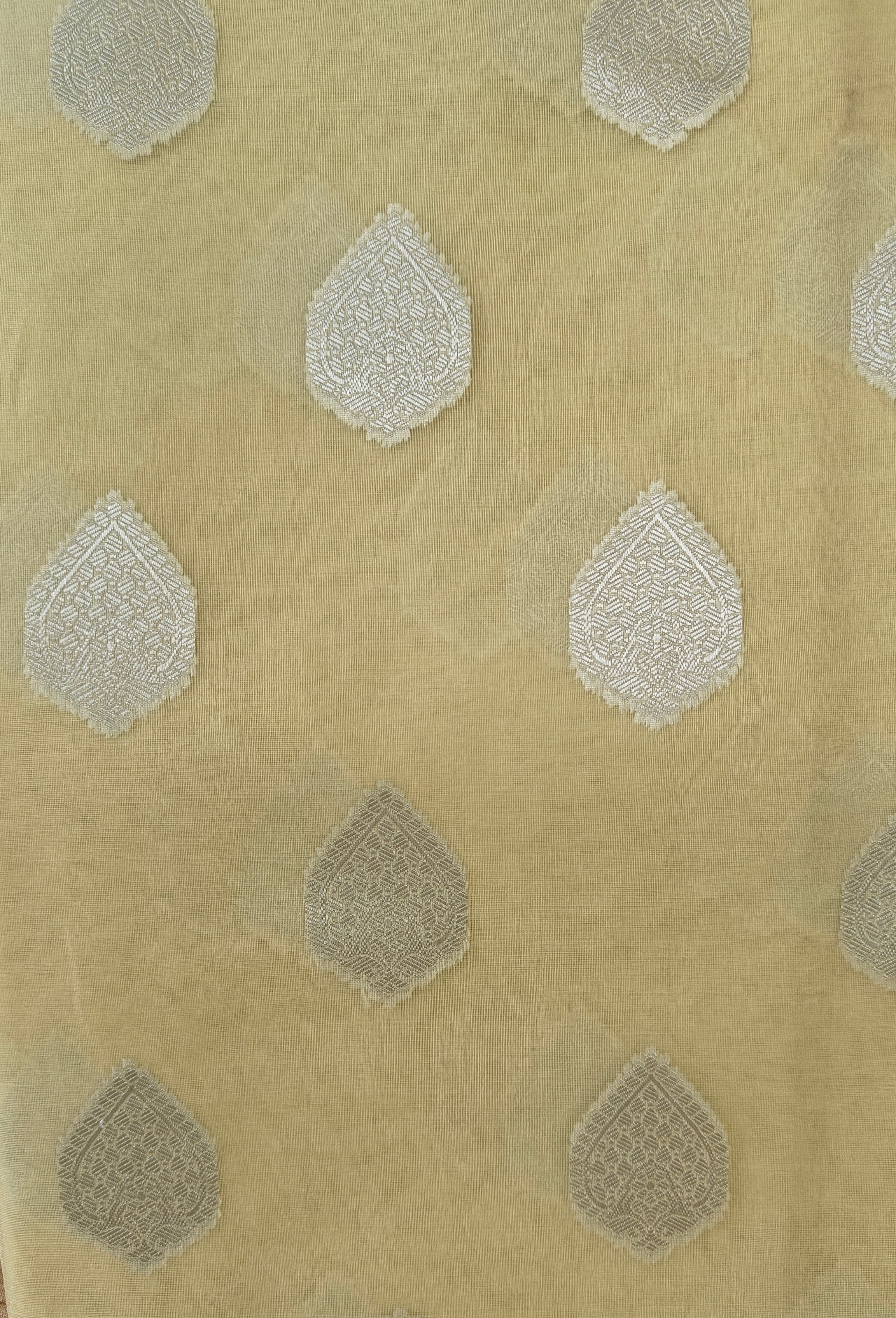 Light Yellow Cream Organza Saree with Silver Zari Booti & Brocade Blouse