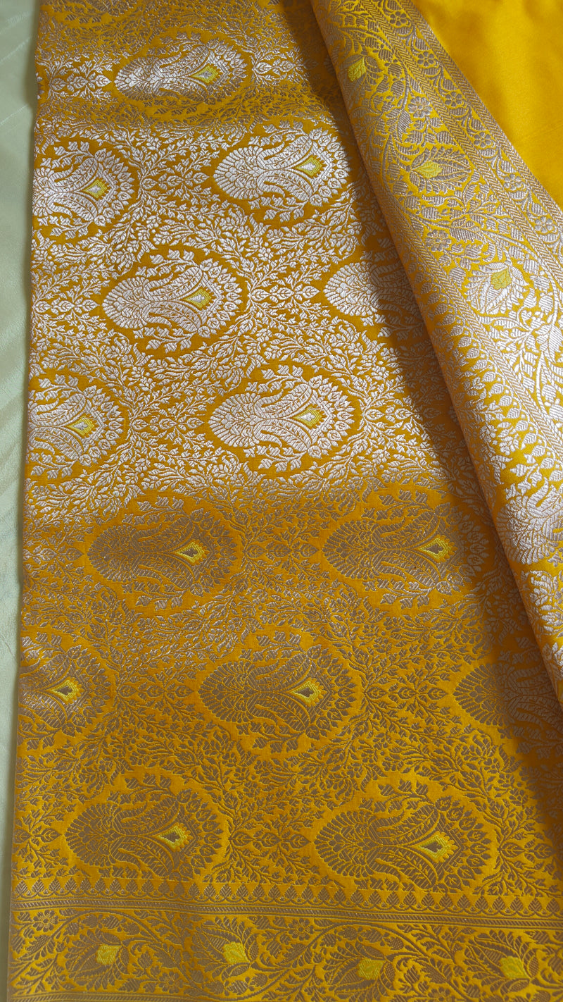Yellow Katan Silk Tanchoi Saree