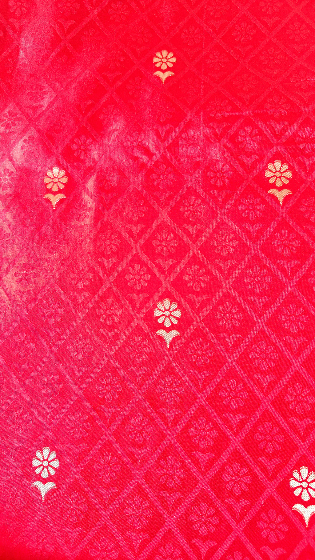 Red Banarasi Silk Tanchoi Saree with Elephant Border