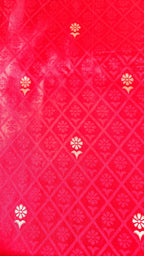 Red Banarasi Silk Tanchoi Saree with Elephant Border