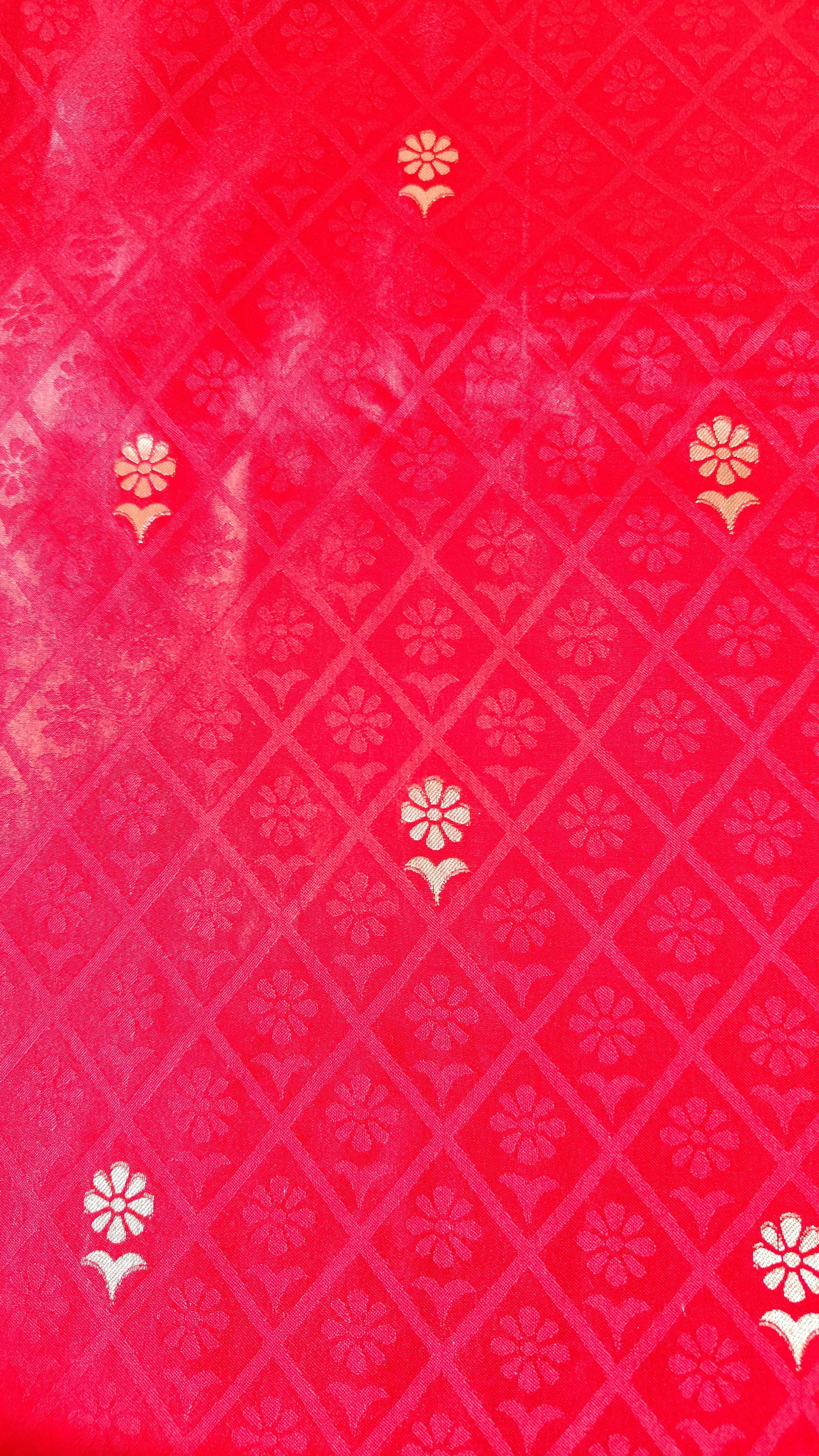 Red Banarasi Silk Tanchoi Saree with Elephant Border