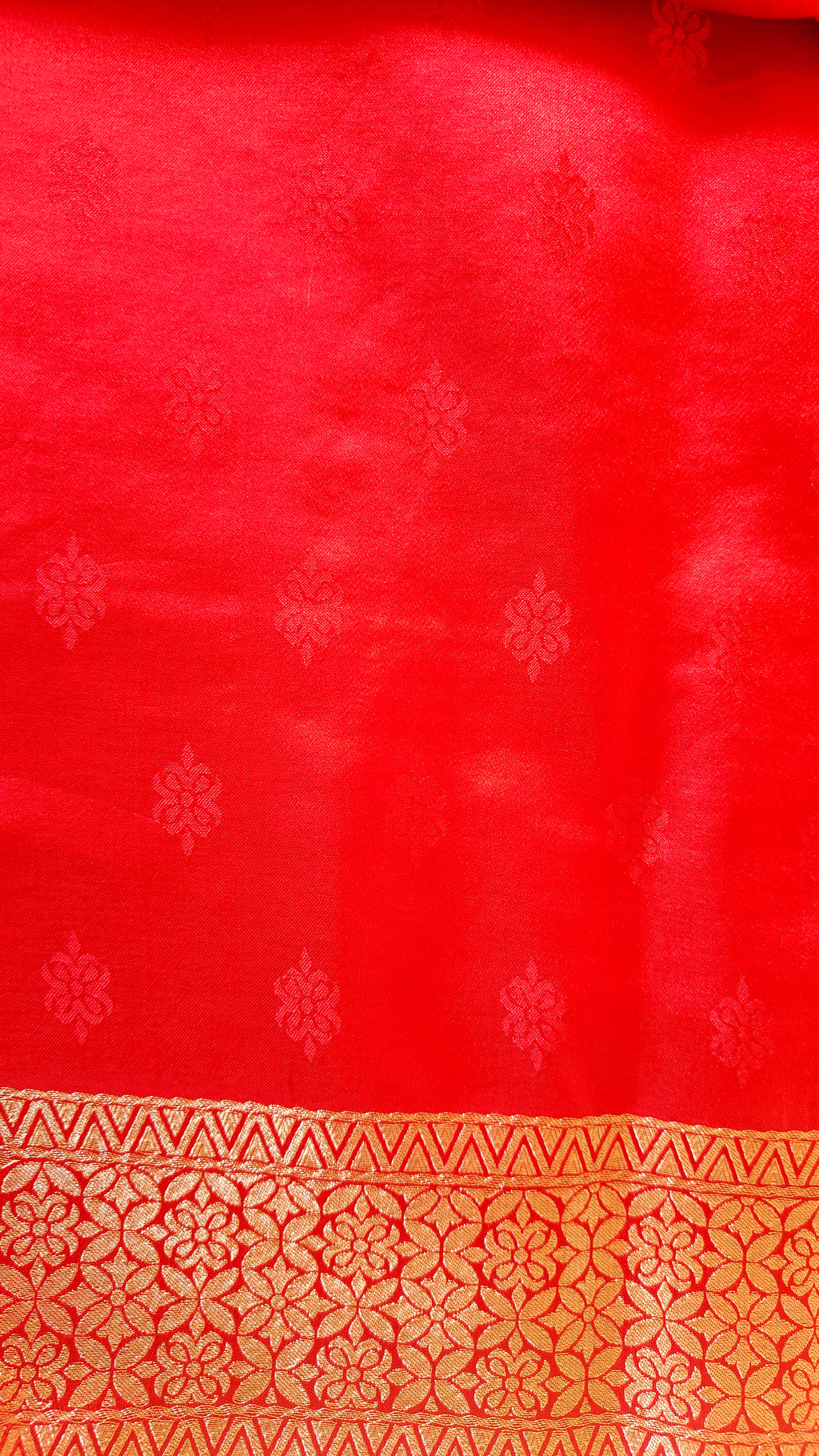 Red Banarasi Silk Tanchoi Saree with Elephant Border
