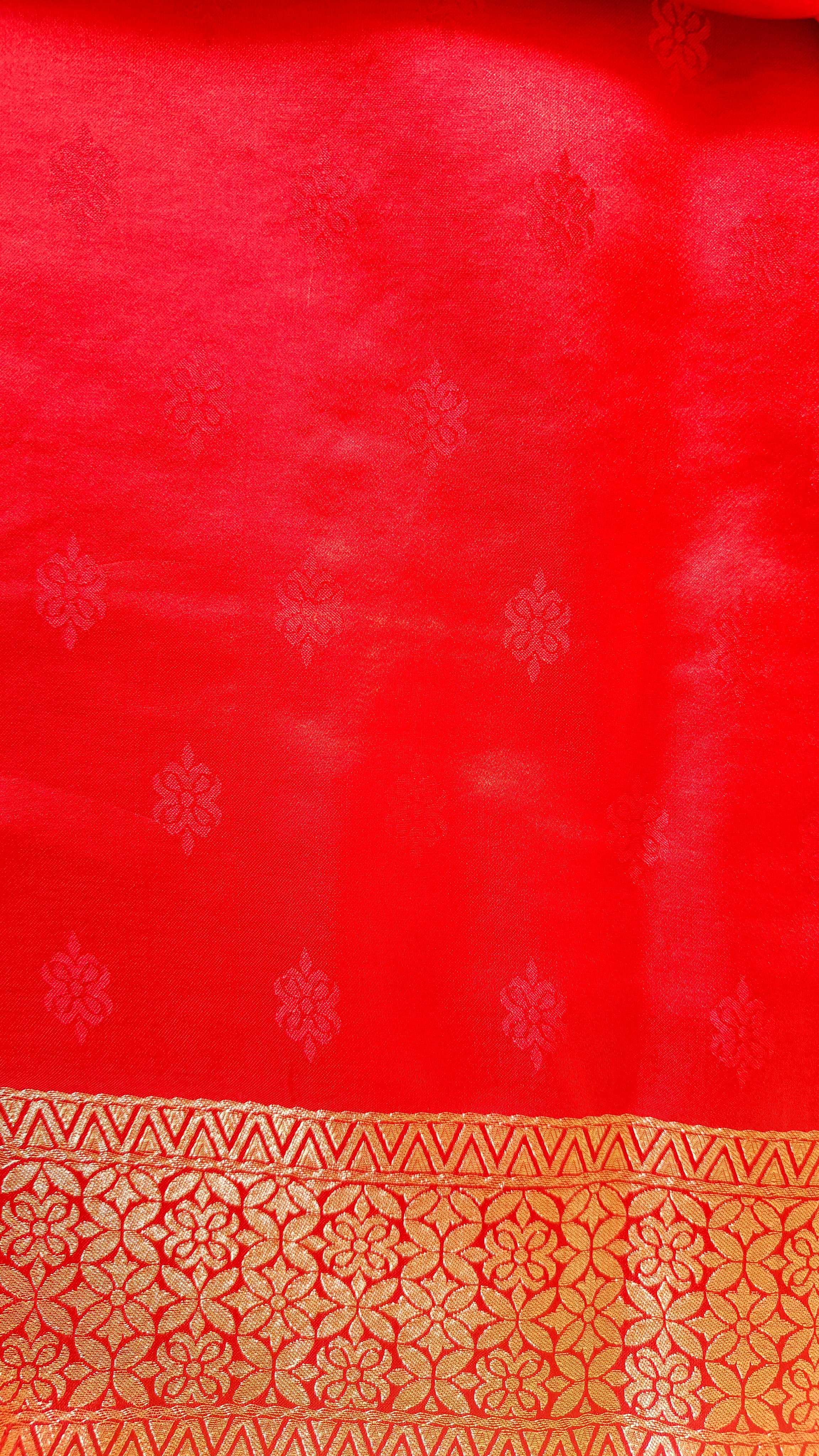 Red Banarasi Silk Tanchoi Saree with Elephant Border