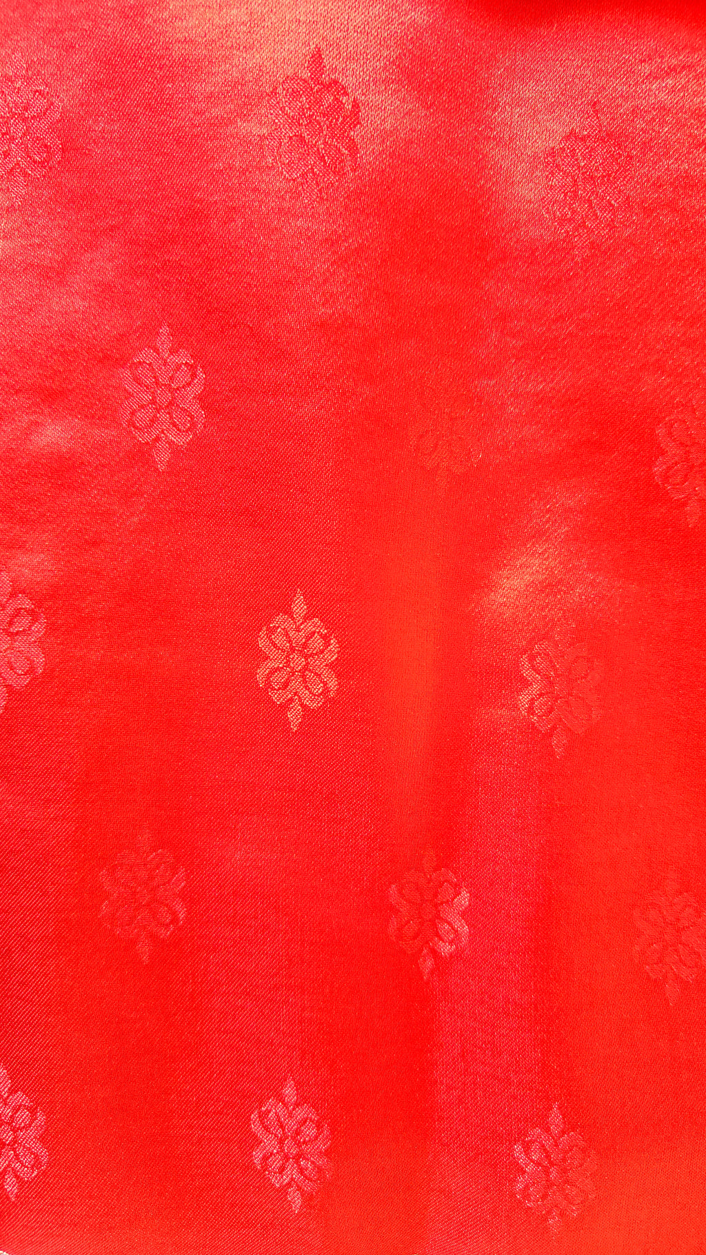 Red Banarasi Silk Tanchoi Saree with Elephant Border