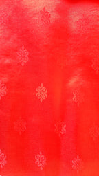 Red Banarasi Silk Tanchoi Saree with Elephant Border