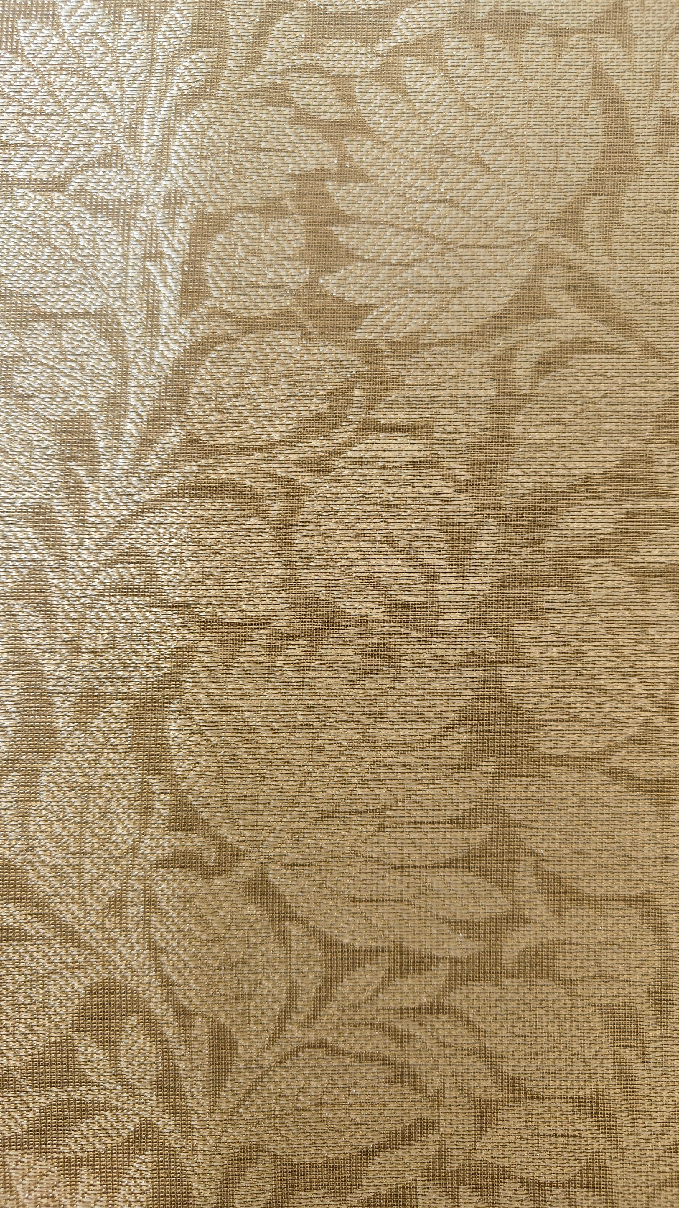 Golden Tissue Saree with Plain Zari Border