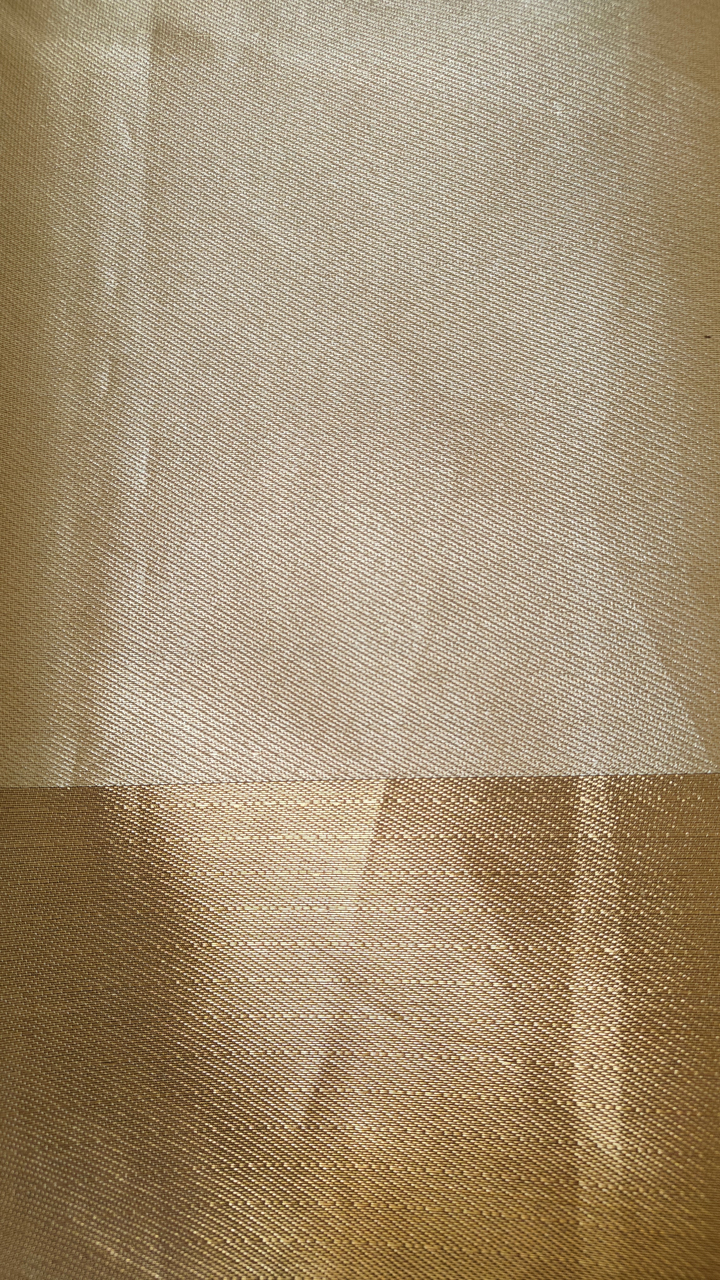 Golden Tissue Saree with Plain Zari Border