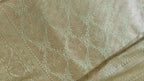 Pastel Green Silver Zari Saree