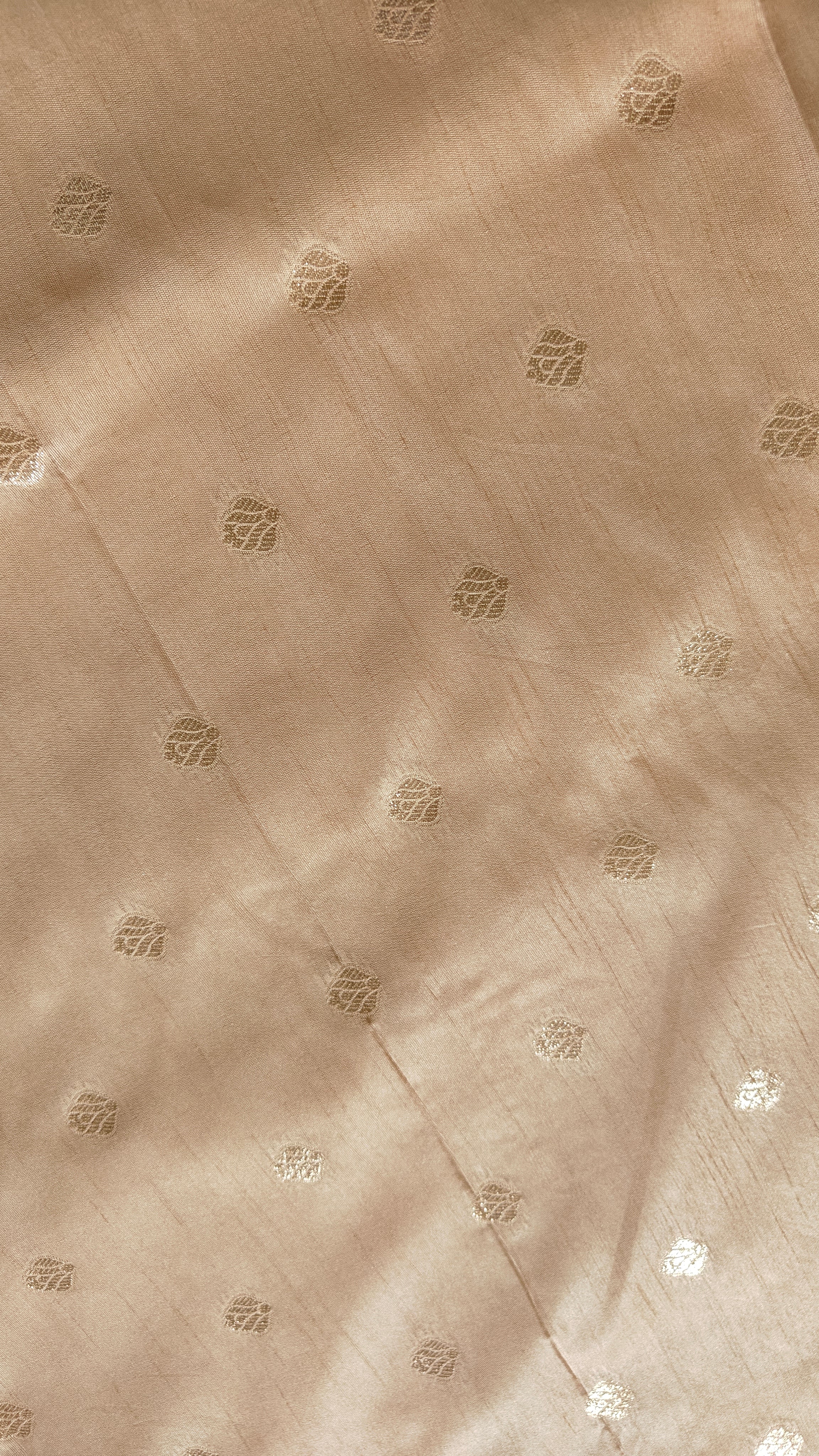 Cream Silk Saree with Banarasi Zari Weave & Booti Blouse