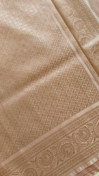 Pastel Katan Tanchoi Meenakari Saree