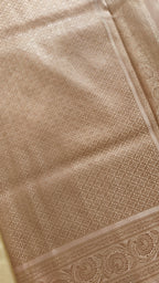 Pastel Katan Tanchoi Meenakari Saree