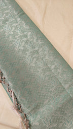 Sea Green Tissue Jaal Saree