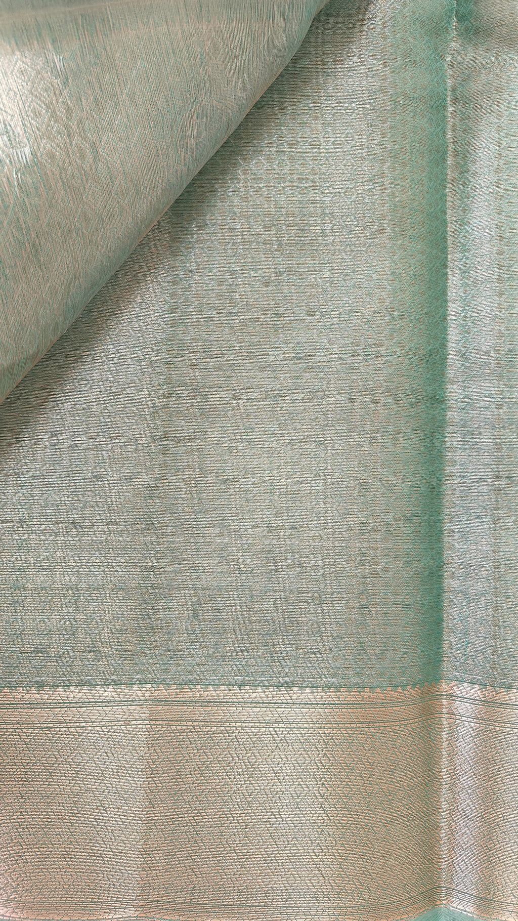 Sea Green Tissue Jaal Saree