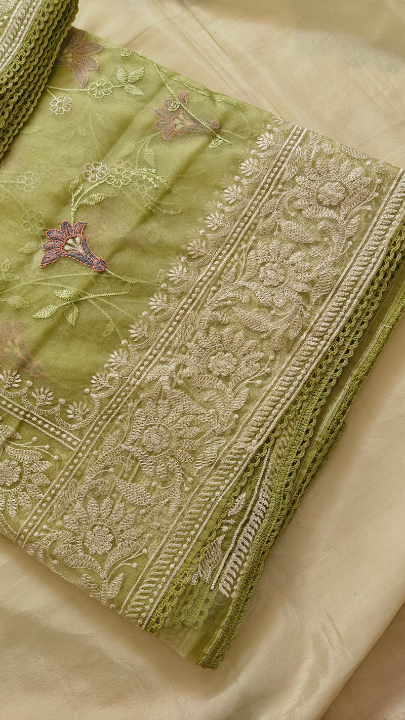 Parrot Thread Work Organza Saree