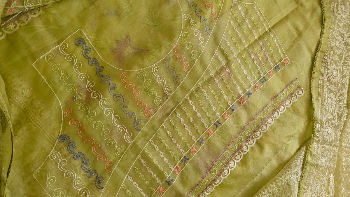 Parrot Thread Work Organza Saree