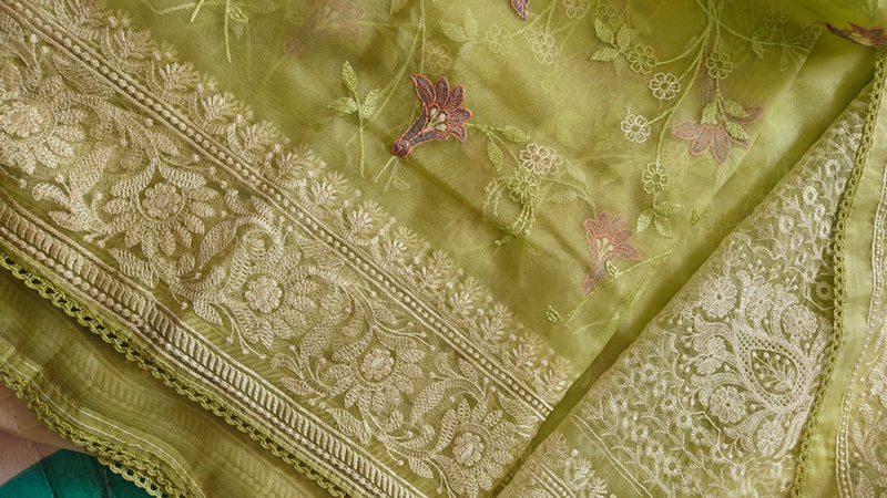 Parrot Thread Work Organza Saree