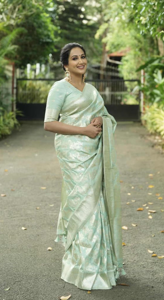 Sea green Silk Saree with Banarasi Zari Weave & Booti Blouse