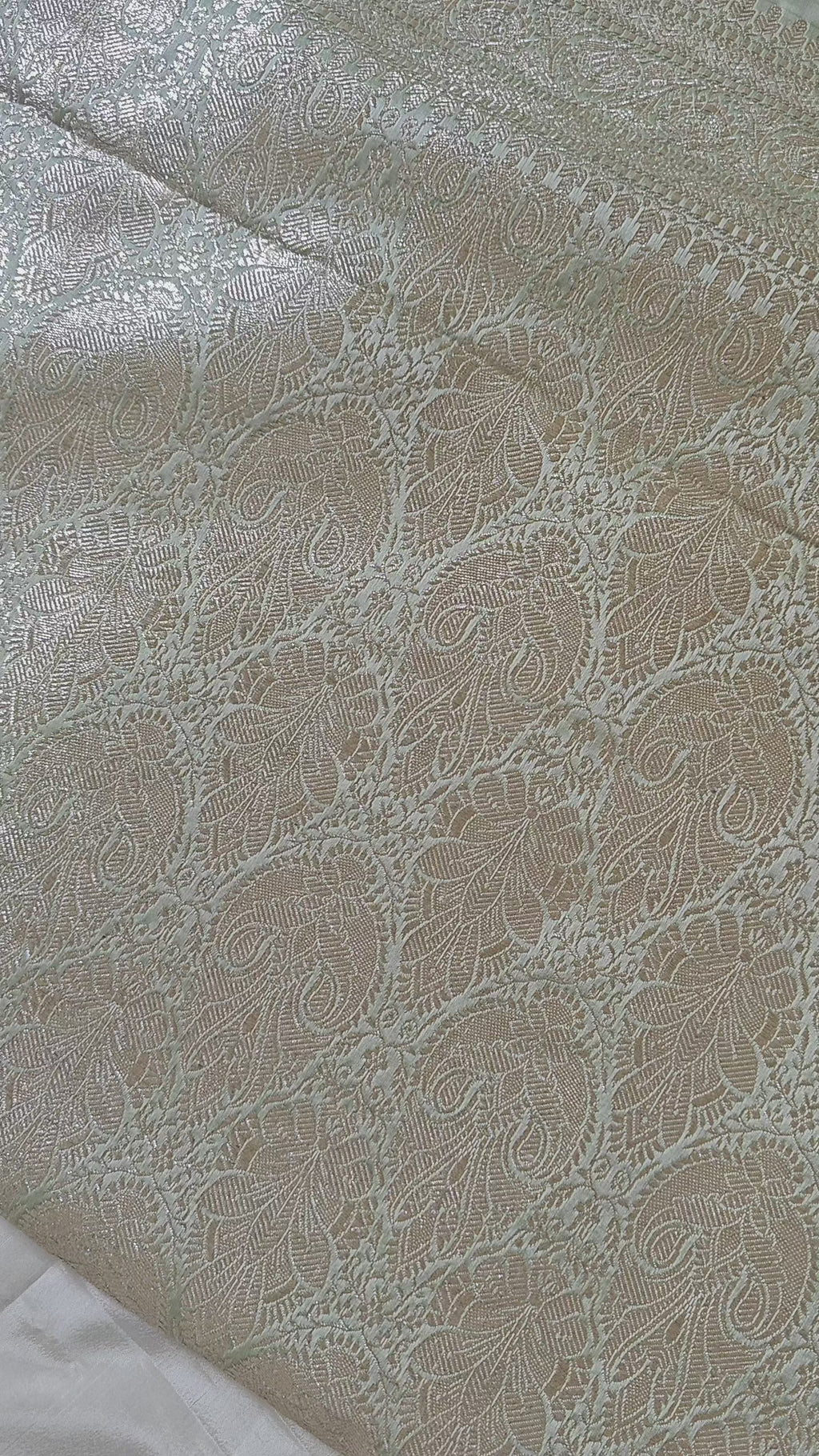 Pastel Green Silver Zari Saree