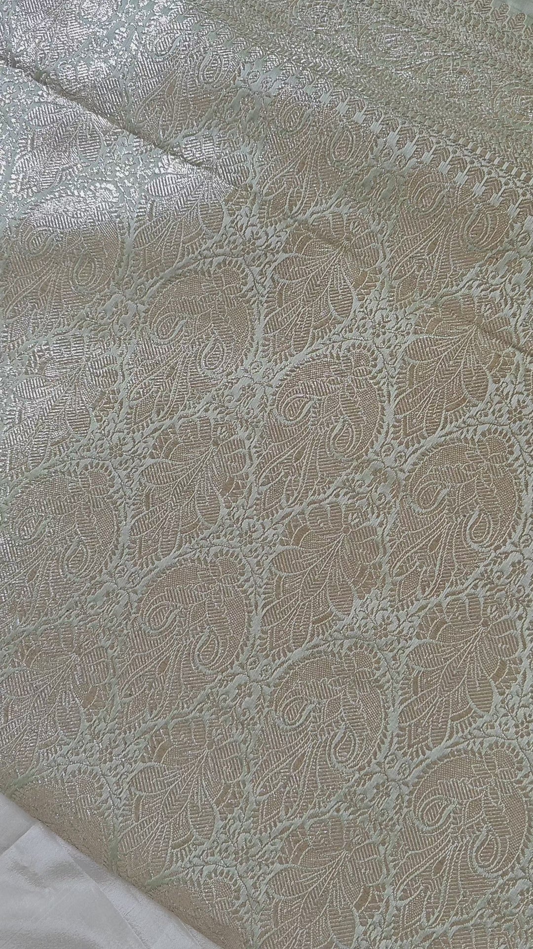 Pastel Green Silver Zari Saree