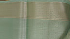 Sea Green Tissue Jaal Saree