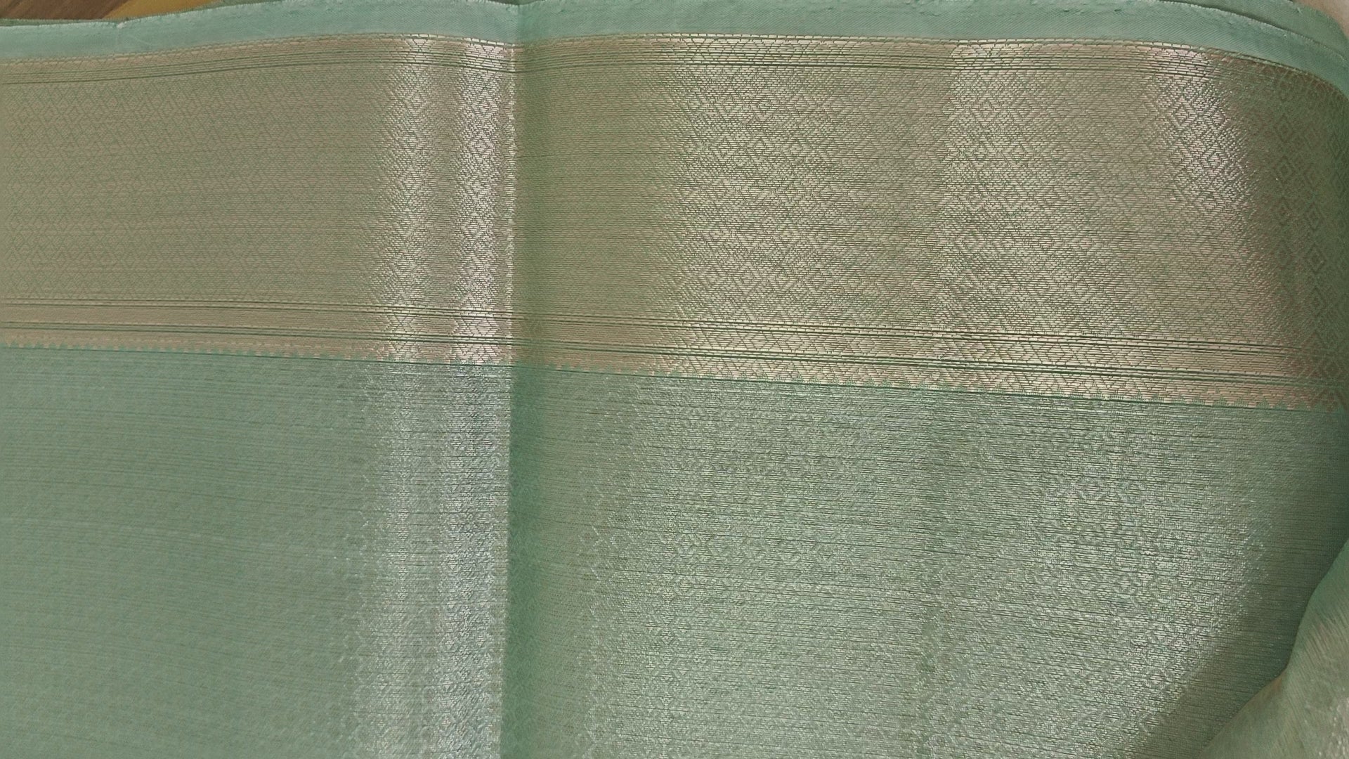 Sea Green Tissue Jaal Saree