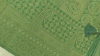 Green Cream Tissue Shimmer Saree